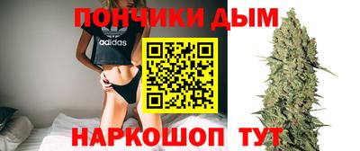 шишки Донской