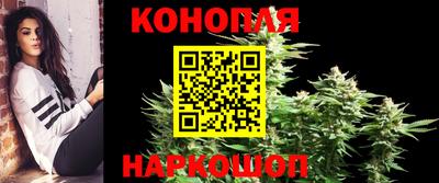 apvp Дубна