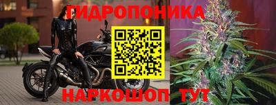 стафф Донецк