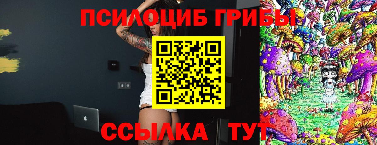 Псилоцибиновые грибы Psilocybe  Вход с VPN  Казань 
